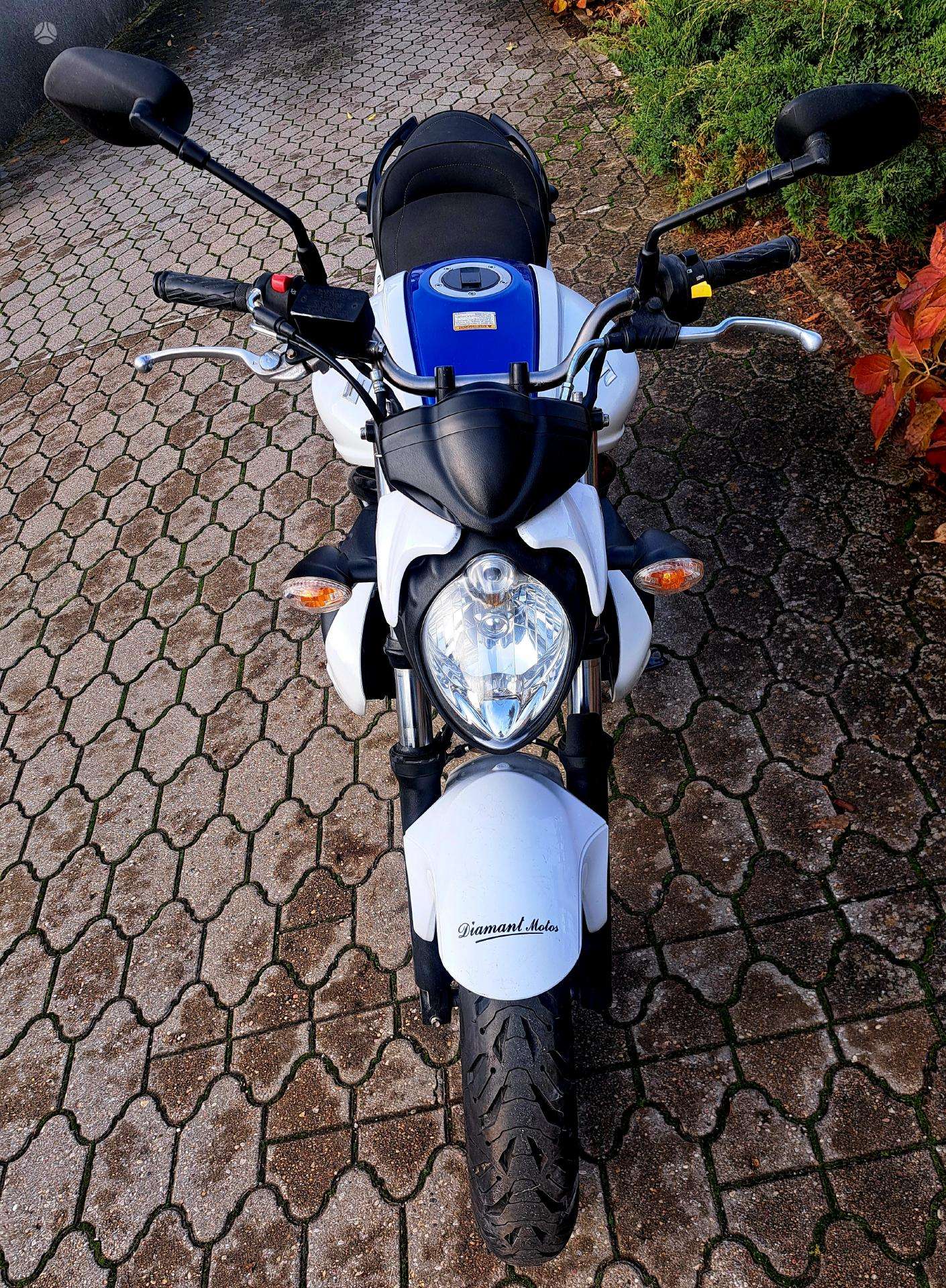 2016 Suzuki SFV (Gladius) - used vehicle for export — photo 3 of 4